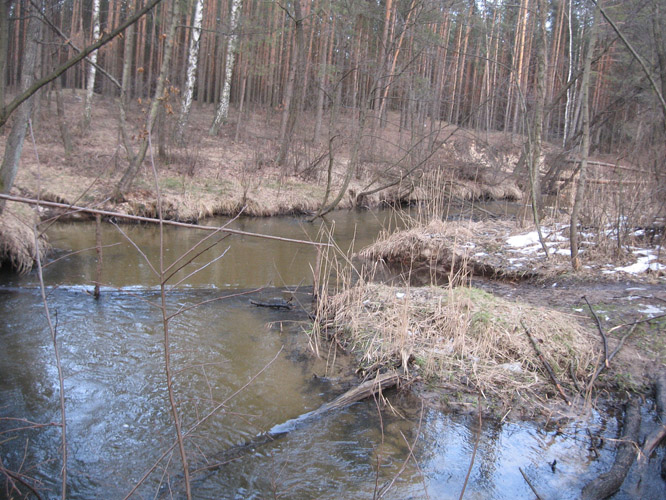 kładka przez rzekę.jpg