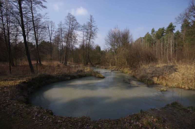 Biedne ZGH zatruwa ołowiem.jpg