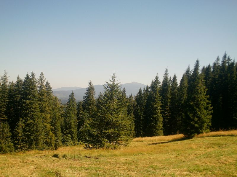 5. Babia Góra.jpg