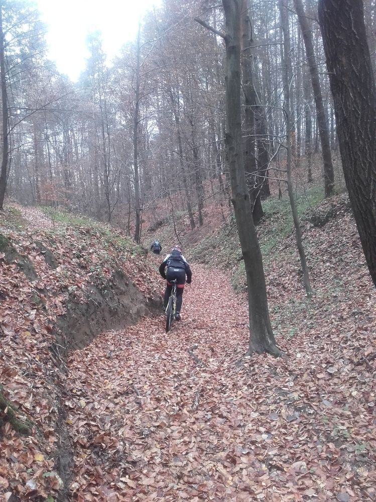 9. Bardzo ślisko i sporo liści zasłaniających szlak.jpg