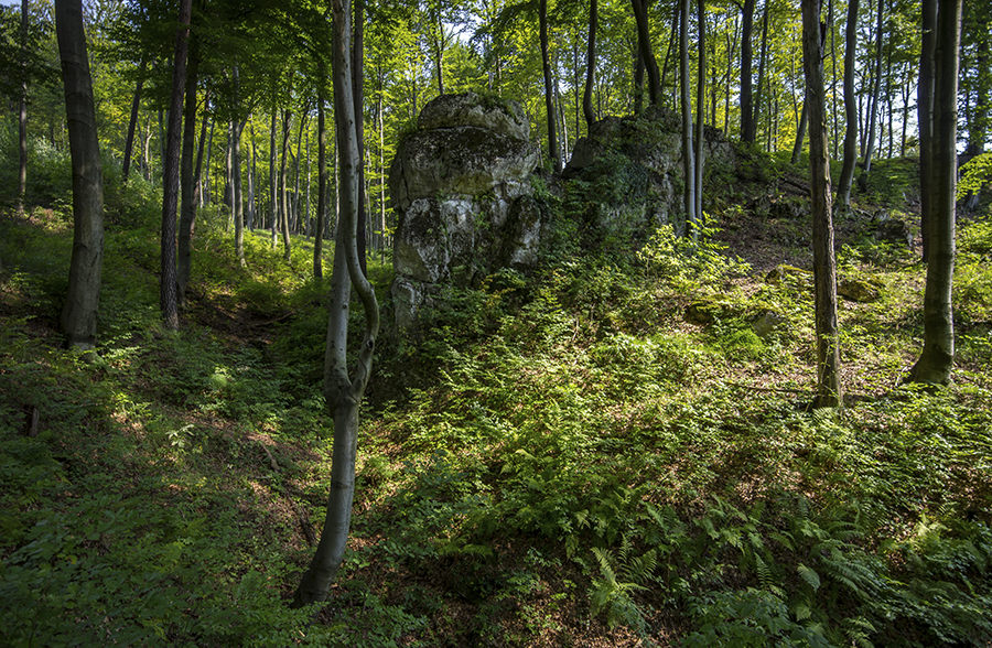 skały nad źródłem.jpg