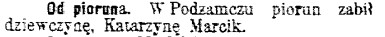 śmierć od pioruna, Podzamecze, 1906.jpg