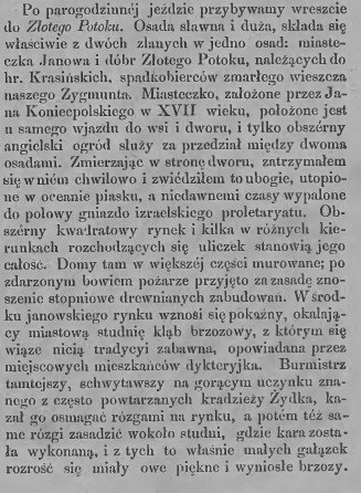 Edward Chłopicki, Częstochowskie strony, Janów i Złoty Potok, T.I., 348, 1874 r., cz.1.jpg