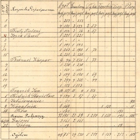 Plan kolonii Rosochacz, 1868 r., cz.3.jpg