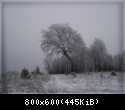 Zima w okolicach Suliszowic