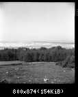 Pustynia Błędowska i wieża triangulacyjna lata około 1964. Fot. Józef Niewdana